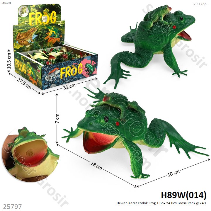 Hewan Kodok Karet Frog 1 Box 24 Pcs Loose Pack @240